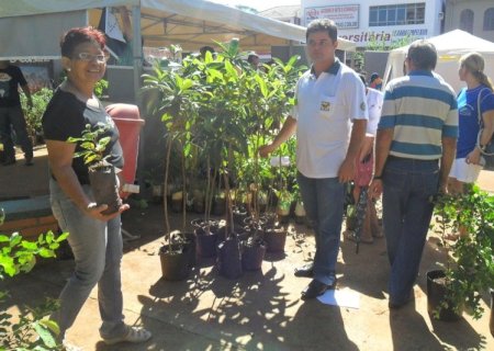 Câmara de Dourados entrega prêmios Coração Verde e Destaque em Saúde Mental nesta terça
