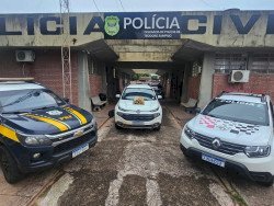 Em ocorrências distintas, PRF apreende 4,6 toneladas de maconha e fuzil em MS e SP
