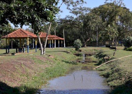 Com parceria, Prefeitura amplia neste sábado arborização do Parque Antenor Martins