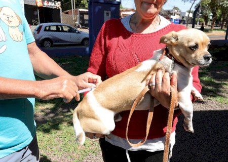 Prefeitura leva vacinação antirrábica para diversos bairros e ao Distrito de Vila Vargas