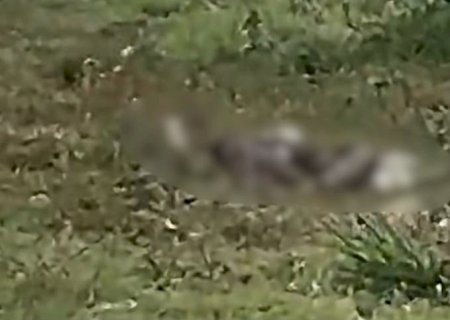 Homem é assassinado e tem corpo queimado; polícia investiga crime em MS