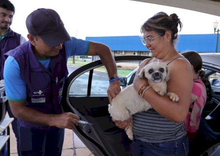 Prefeitura leva vacinação antirrábica a três regiões de Dourados nesta sexta-feira