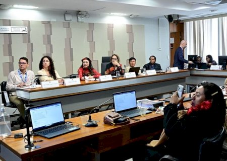 Lideranças ianomâmis cobram proteção e continuidade de ações ambientais